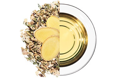 Ingwer Tee Ingwer Tee